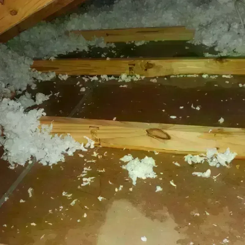 Attic Water Damage in McFarland, CA